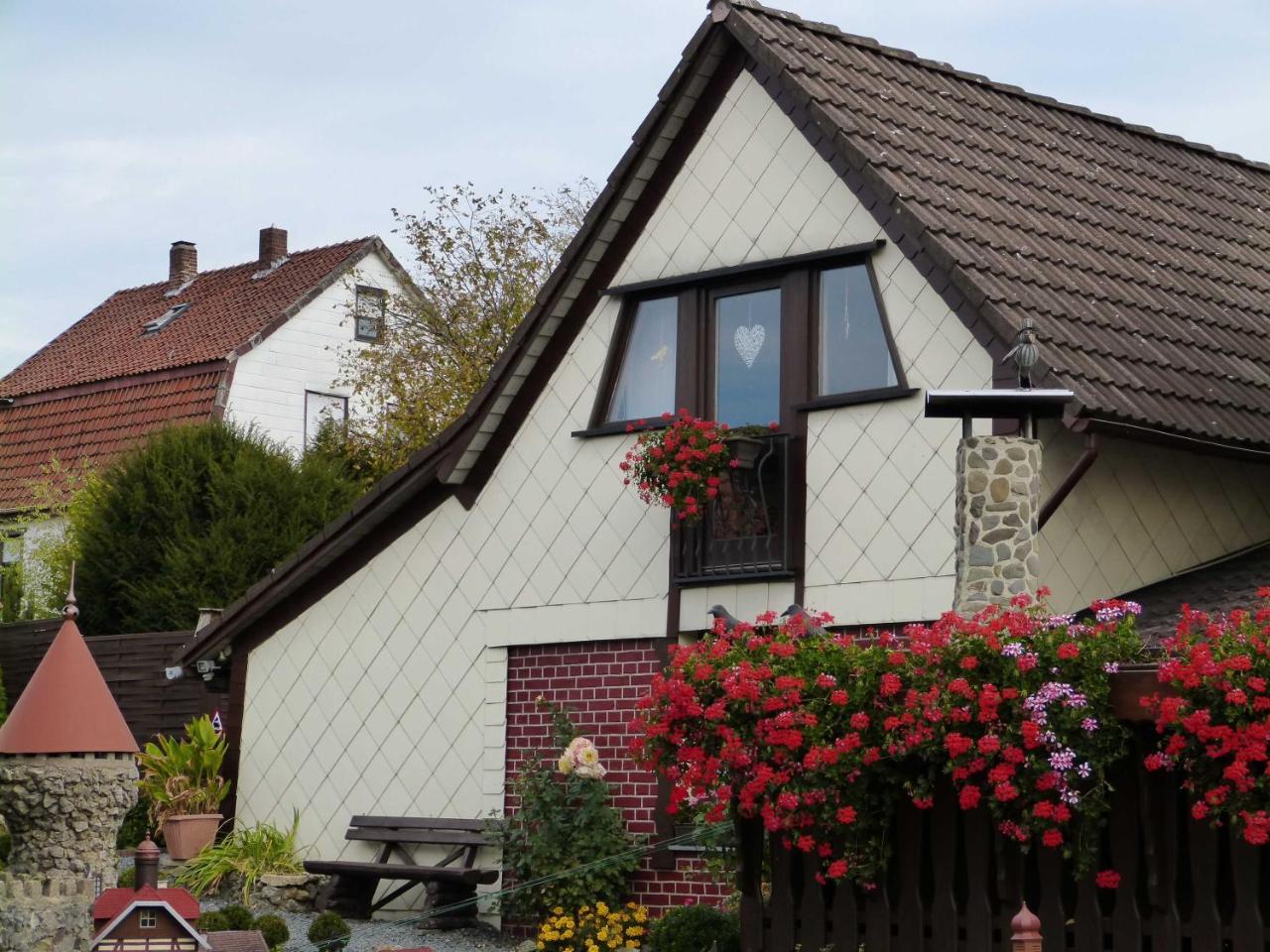 Ferienhaus Cramer Walkenried Kültér fotó